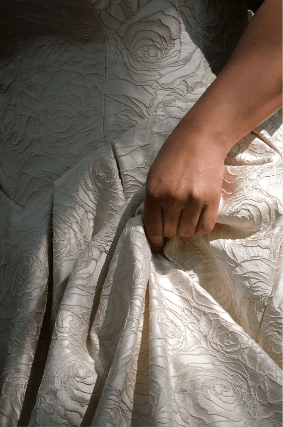 Curve Collection - Power & Elegance
