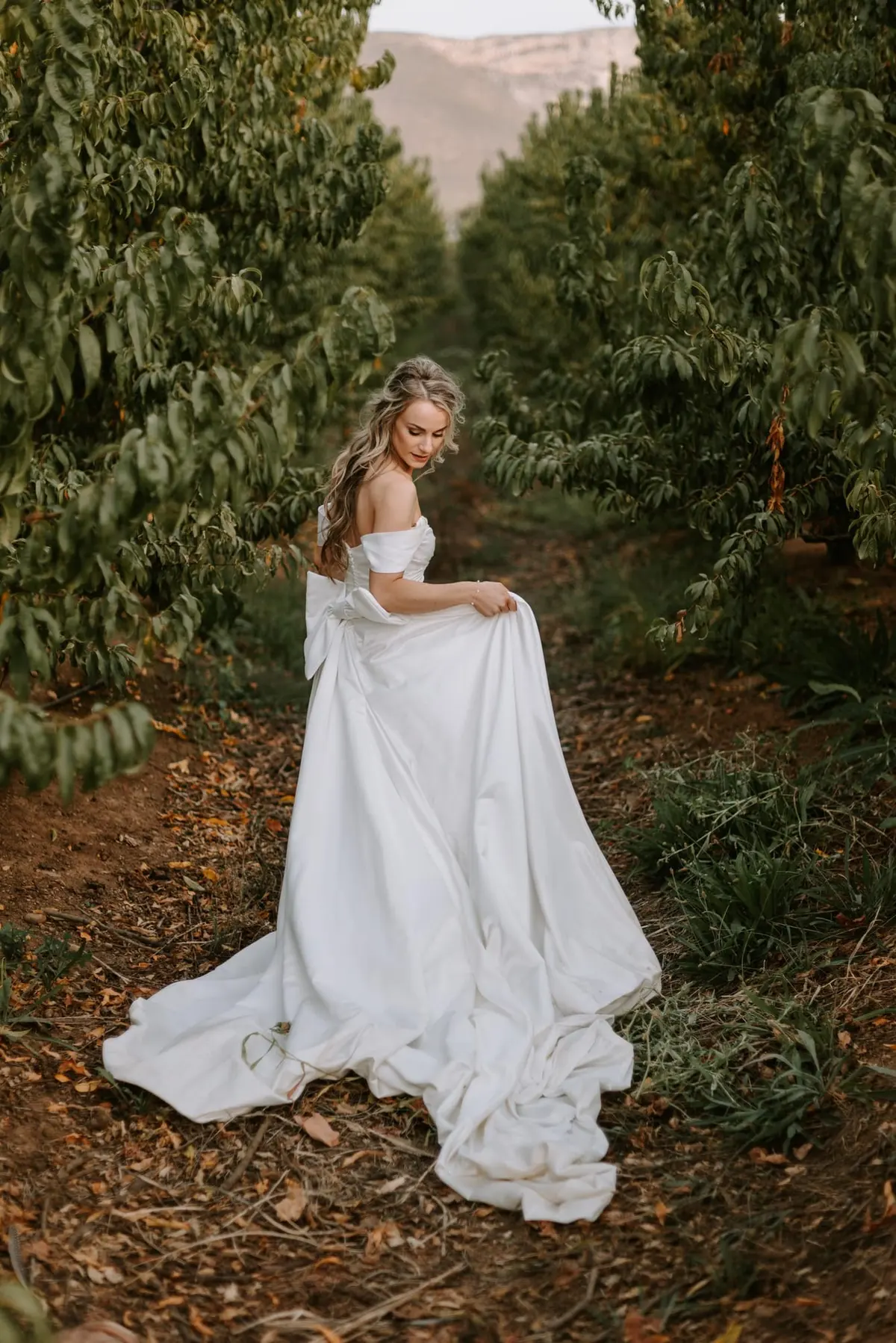 Orchard Enchantment